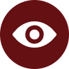vision